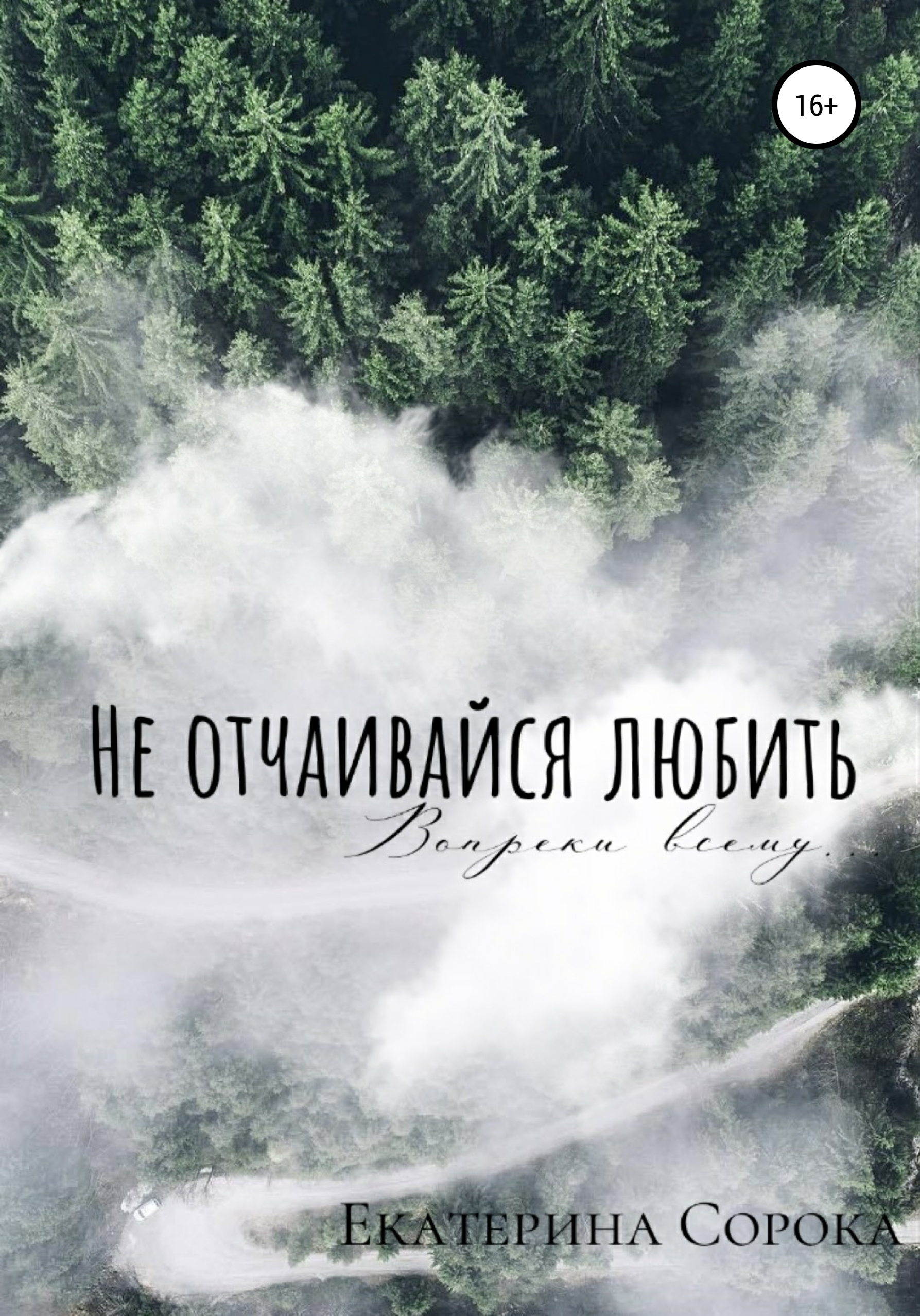 Читать онлайн «Не отчаивайся любить», Екатерина Александровна Сорока –  ЛитРес, страница 8