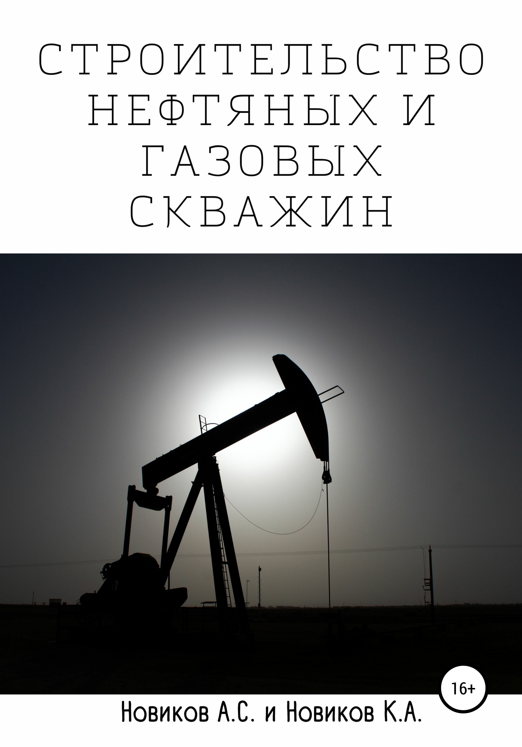 Читать онлайн «Строительство нефтяных и газовых скважин», А. С. Новиков –  ЛитРес, страница 8