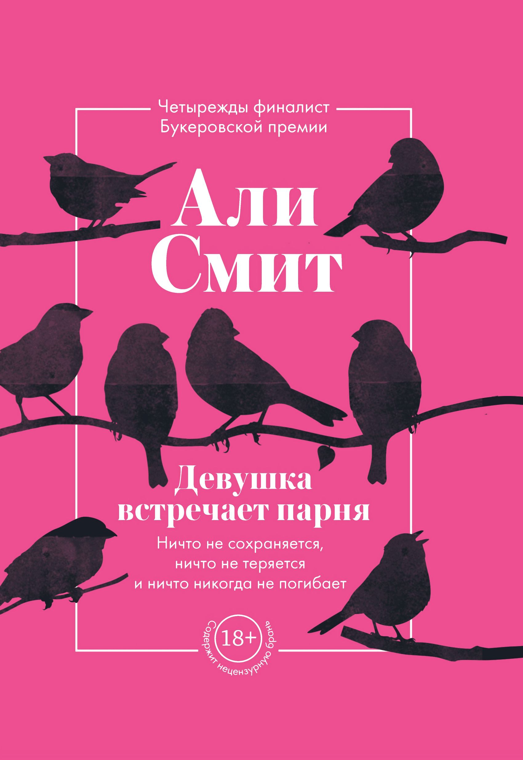 Девушка встречает парня, Али Смит – скачать книгу fb2, epub, pdf на ЛитРес