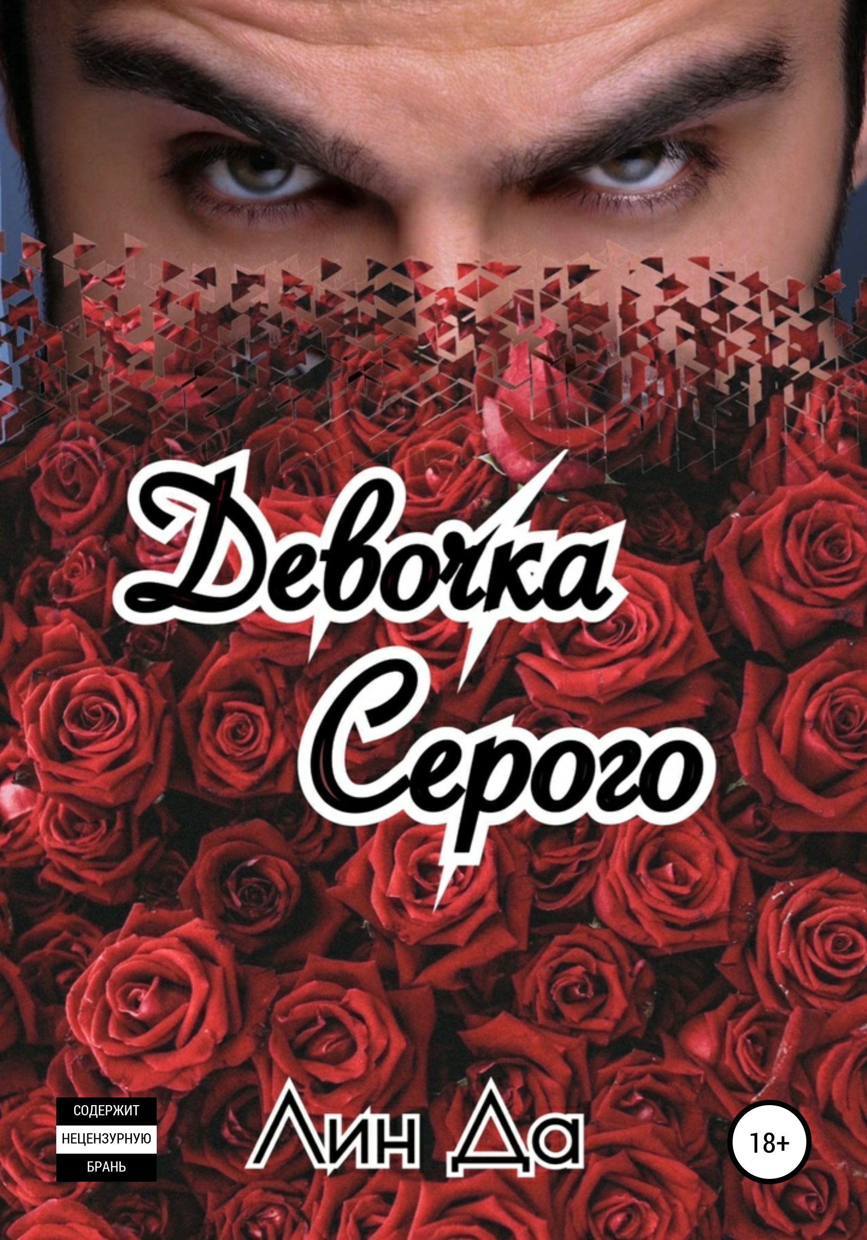 Читать онлайн «Девочка Серого», Лин Да – ЛитРес, страница 10