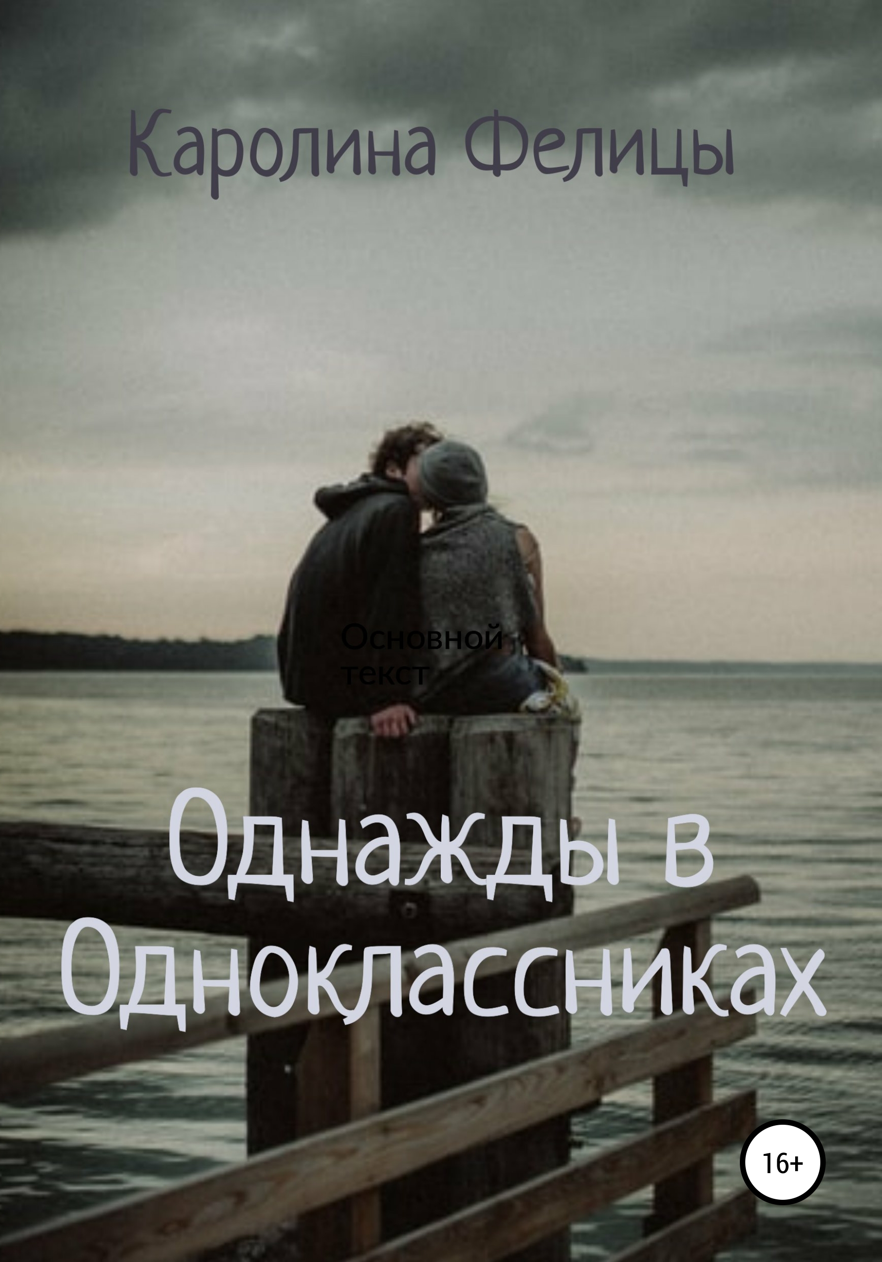 Читать онлайн «Однажды в Одноклассниках», Каролина Фелицы – ЛитРес,  страница 5