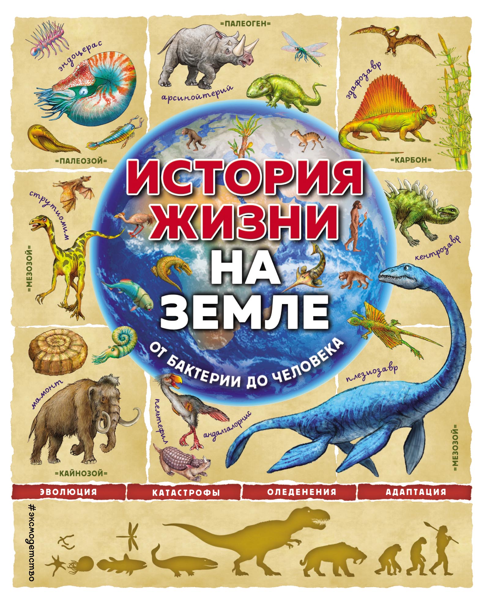 «История жизни на Земле. От бактерии до человека» – Фелисия Ло | ЛитРес