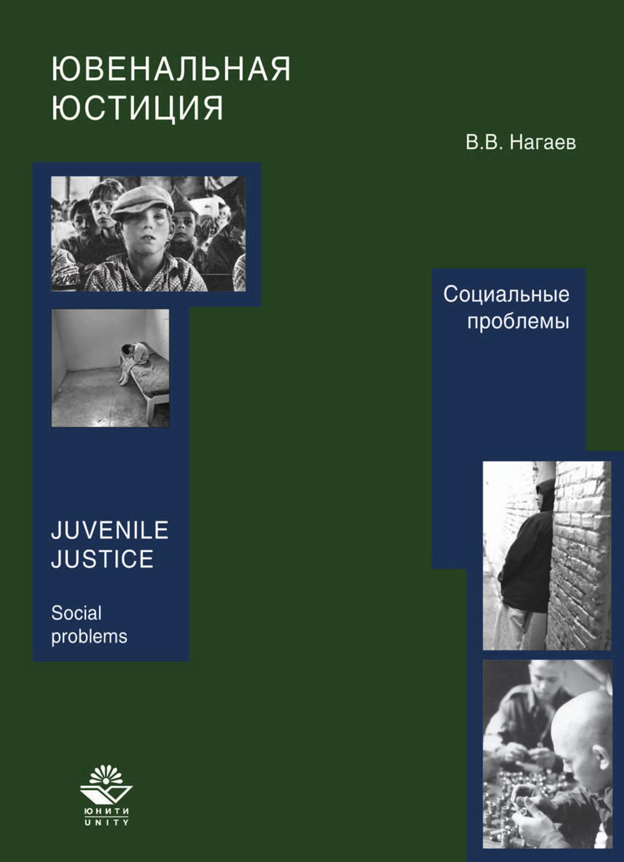 Ювенальная юстиция проблемы. Ювенальная юстиция. Социальные проблемы. Социальные проблемы в книгах. Ювенальное право учебник.