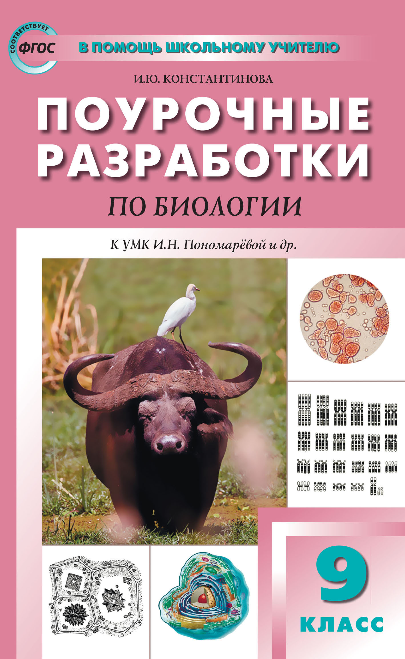 Поурочные разработки по биологии. 5 класс (К УМК И.Н. Пономаревой и др.  (М.: Вентана-Граф)), И. Ю. Константинова – скачать pdf на ЛитРес