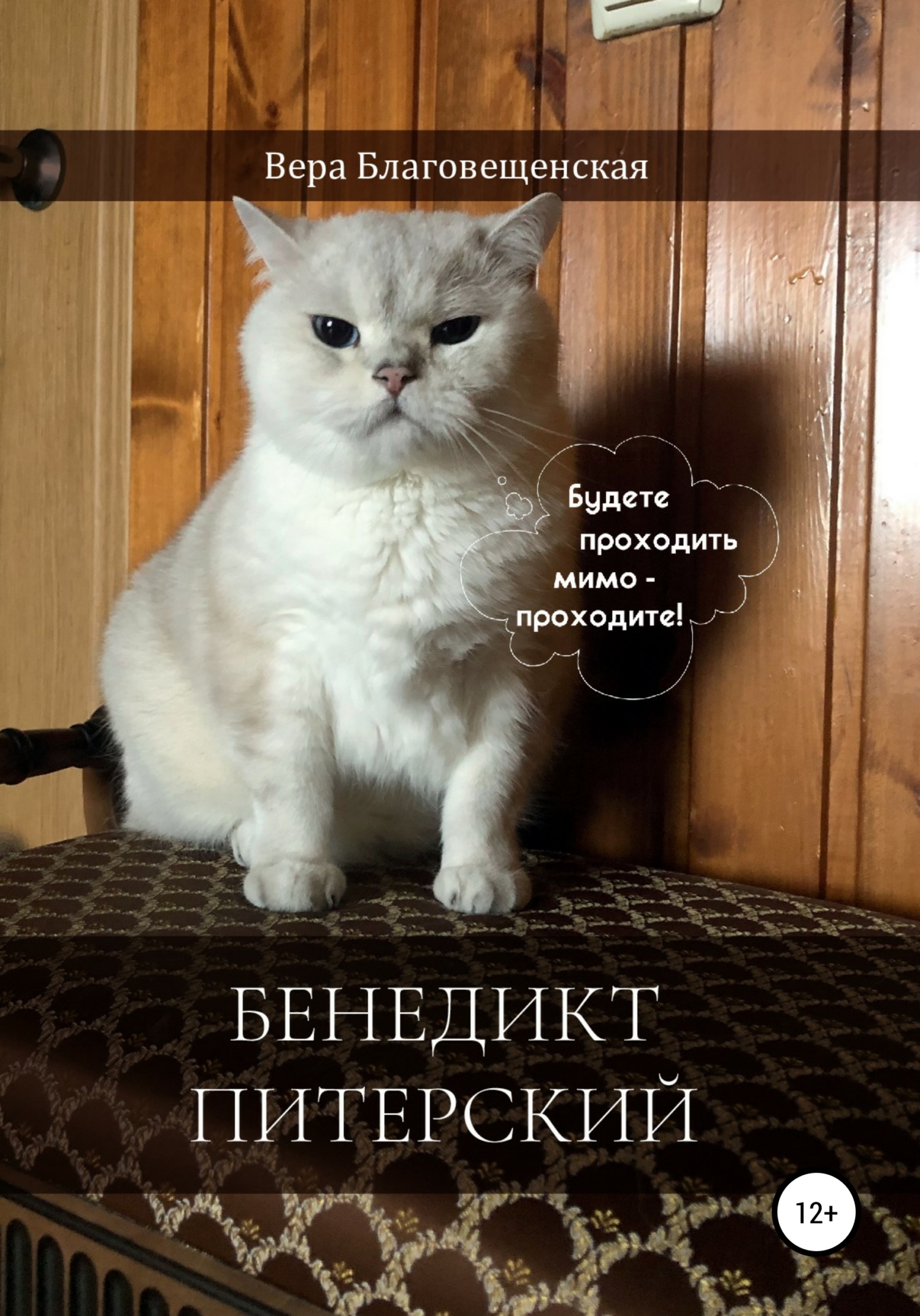 Читать онлайн «Кот. Инструкция по применению», Елена Клюсовец – ЛитРес,  страница 2