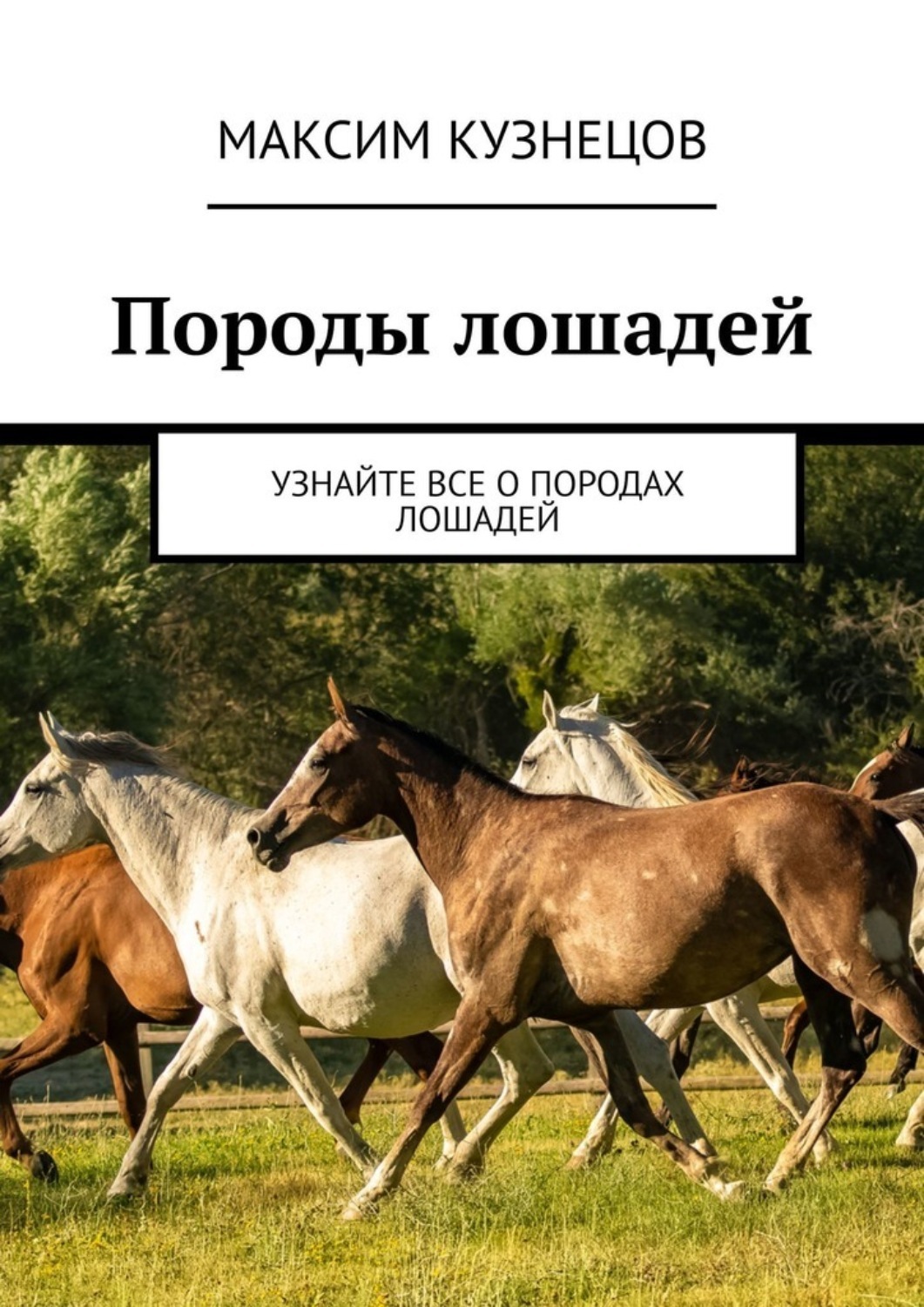 Книги пород. Картинки лошадей красивые. Коневодство 2011 год книга. Порода лошади б п. Используемые породы лошадей рабочие и спортивные.