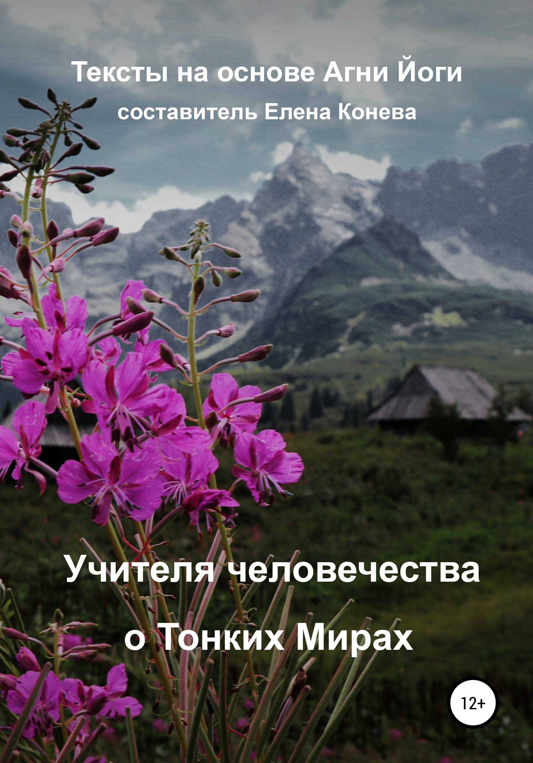 Читать онлайн «Учителя человечества о Тонких Мирах», Елена Сазоновна Конева  – ЛитРес, страница 16