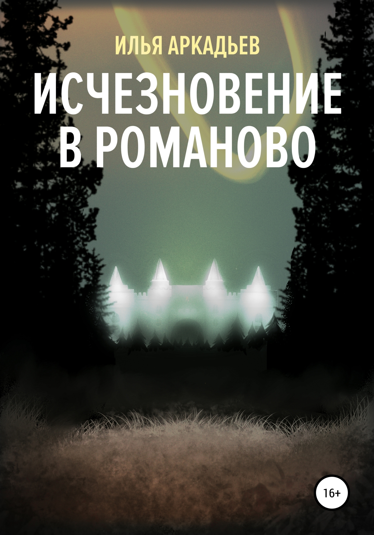 Читать онлайн «Исчезновение в Романово», Илья Аркадьев – ЛитРес, страница 4