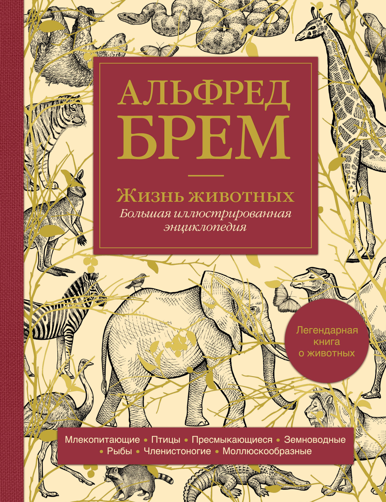 Читать онлайн «Жизнь животных. Большая иллюстрированная энциклопедия»,  Альфред Эдмунд Брэм – ЛитРес, страница 4