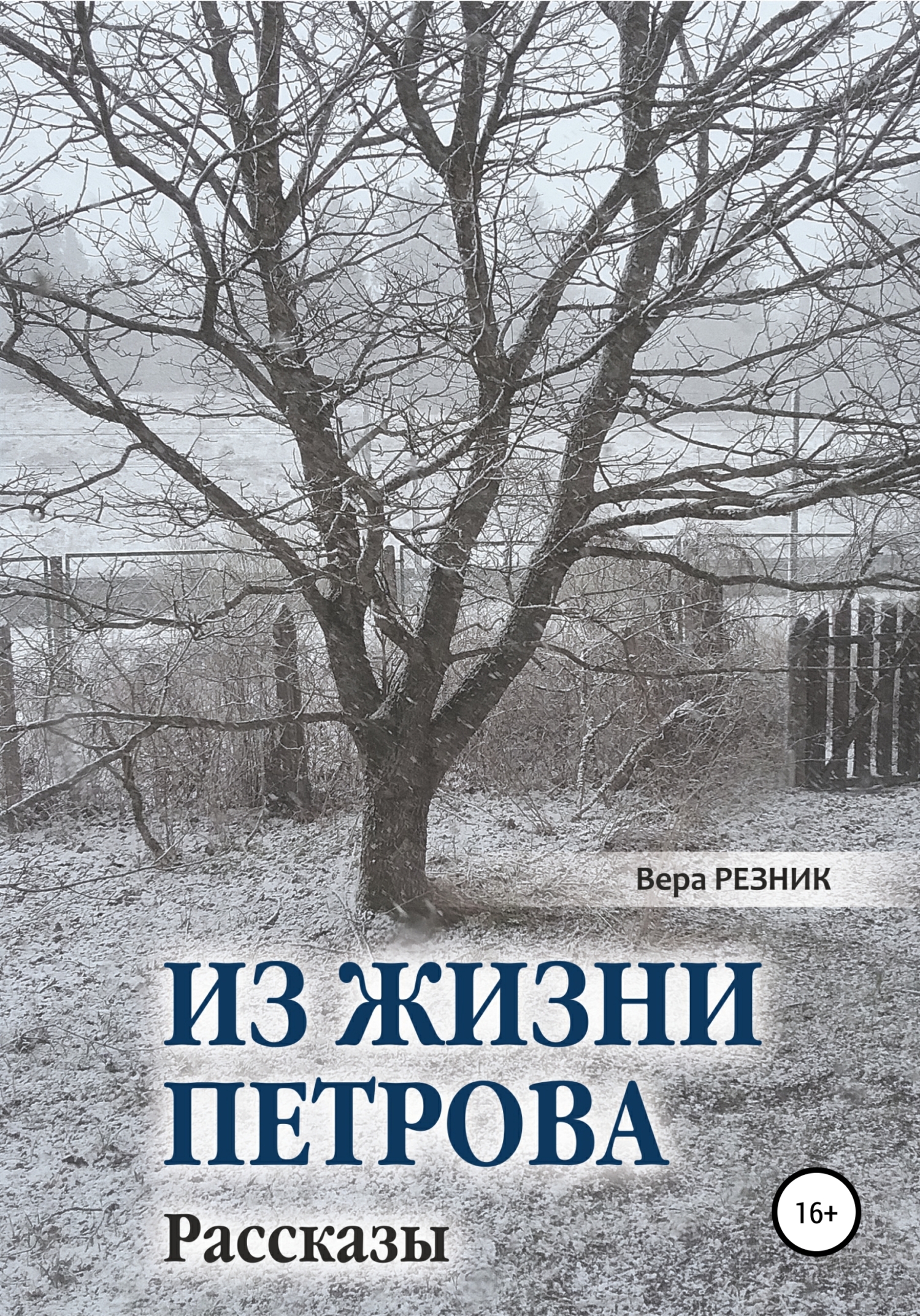 Читать онлайн «Из жизни Петрова. Рассказы», Вера Резник – ЛитРес