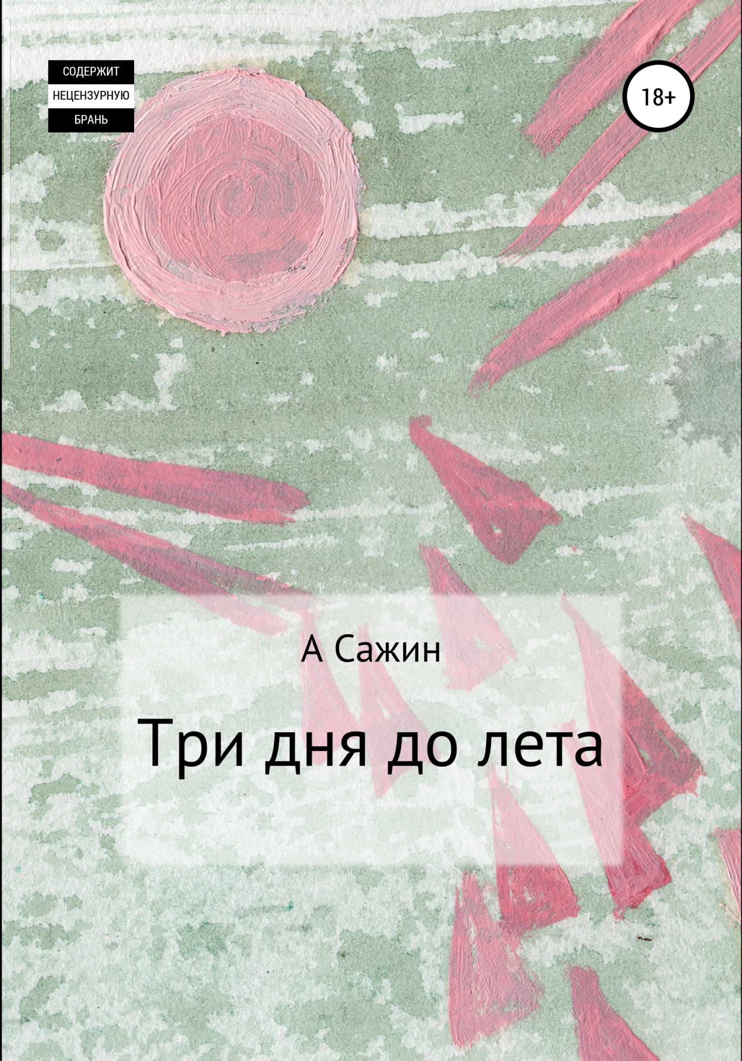 Читать онлайн «Три дня до лета», А Сажин – ЛитРес, страница 3