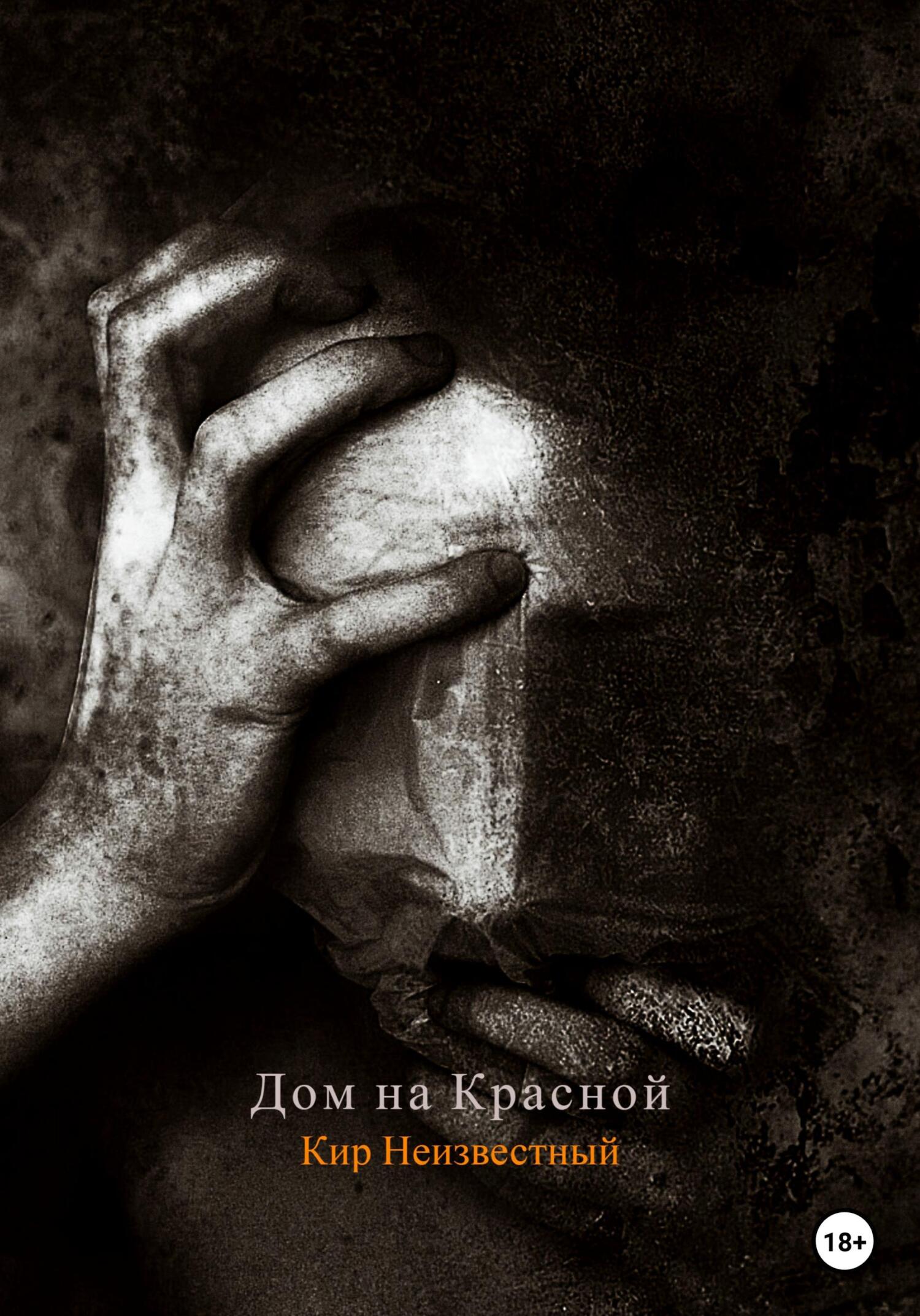 Дом на Красной, Кир Николаевич Неизвестный – скачать книгу fb2, epub, pdf  на ЛитРес