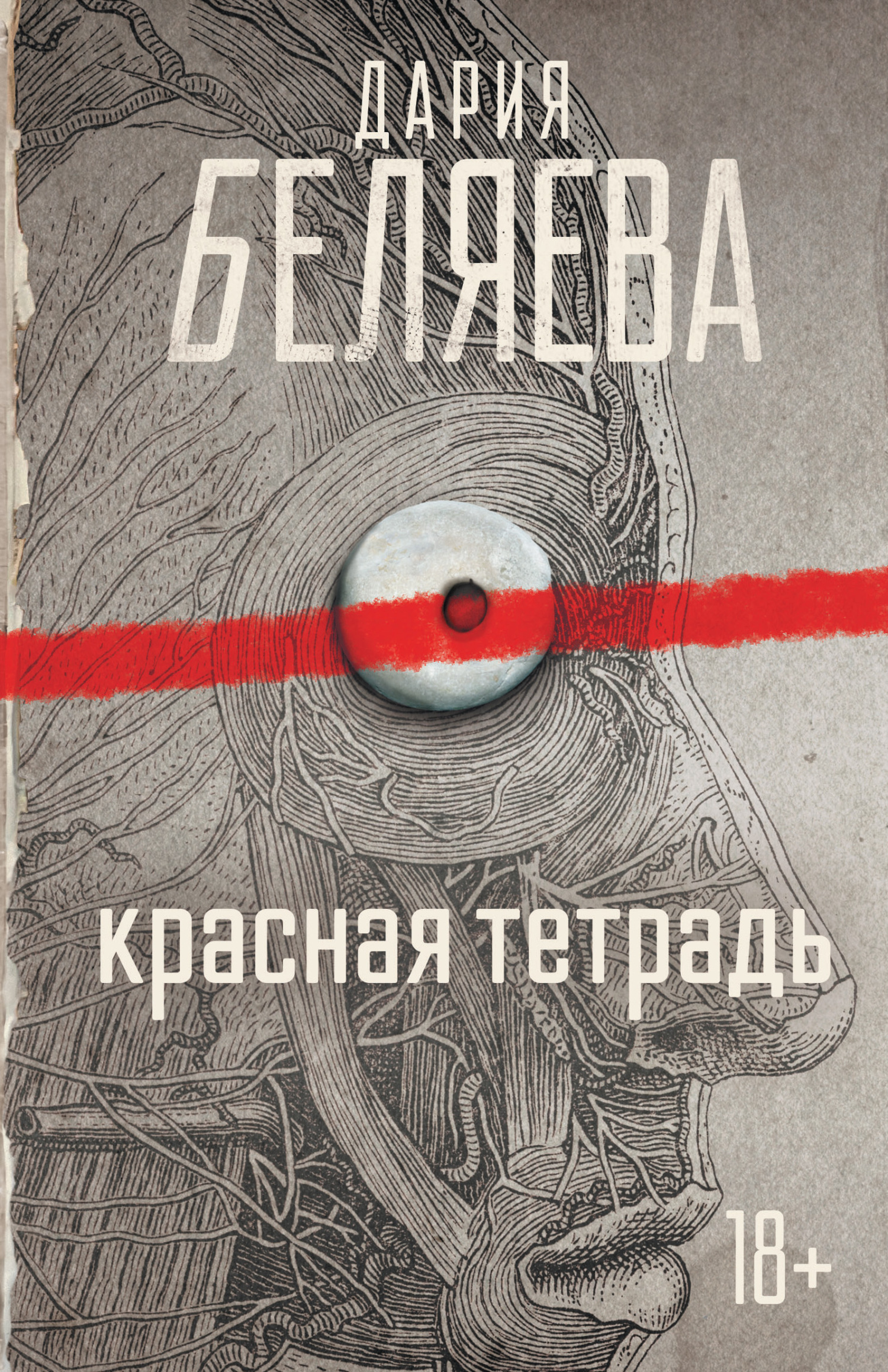 Красная тетрадь, Дария Беляева – скачать книгу fb2, epub, pdf на ЛитРес