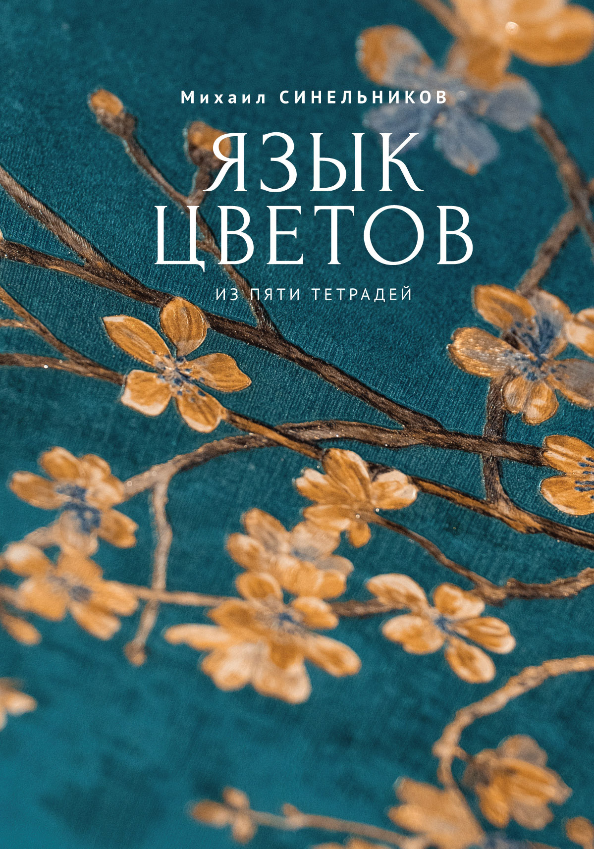 Читать онлайн «Язык цветов из пяти тетрадей», Михаил Синельников – ЛитРес,  страница 3