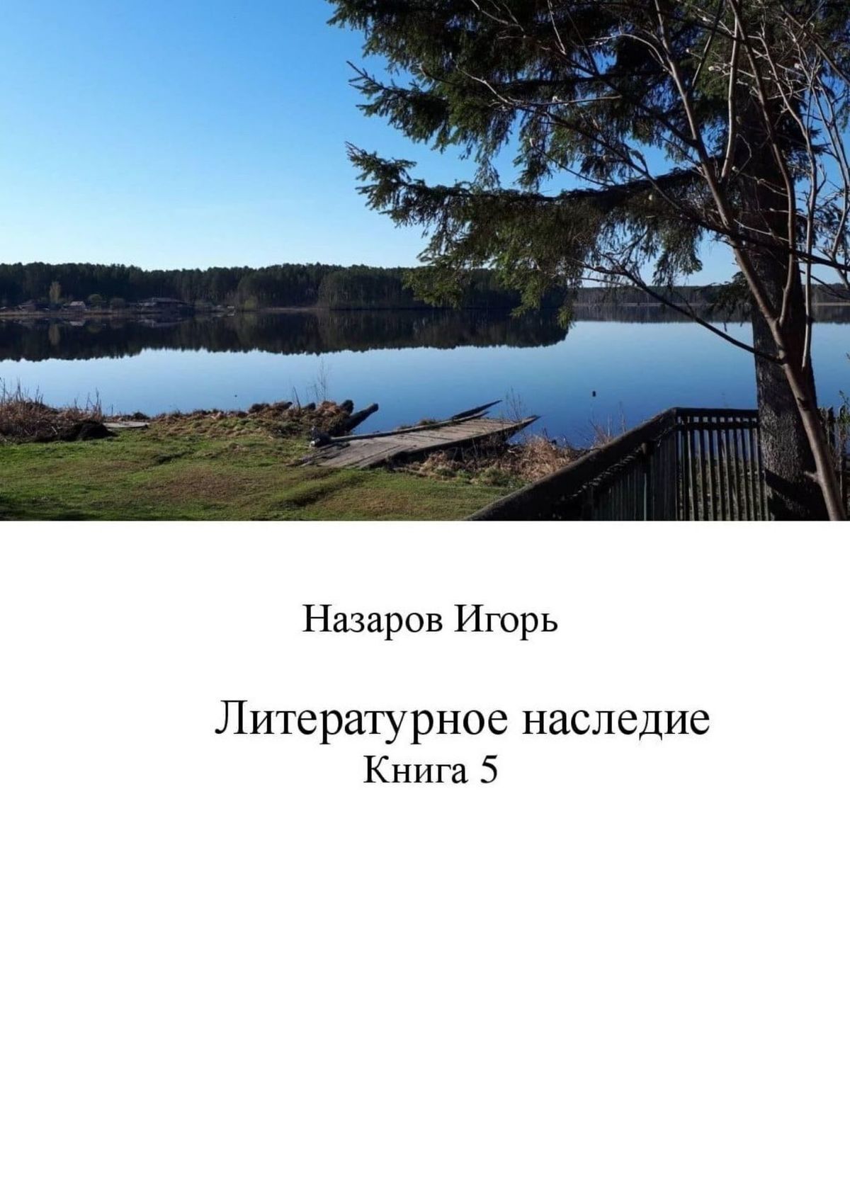 Читать онлайн «Литературное наследие. Книга 6», Игорь Назаров – ЛитРес,  страница 3