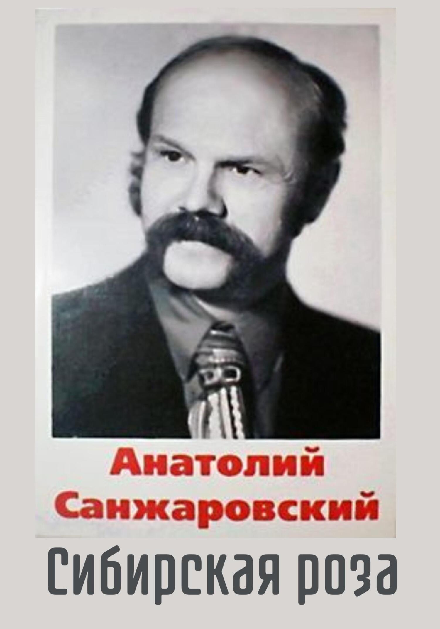 Читать онлайн «Жена напрокат», Анатолий Никифорович Санжаровский – ЛитРес,  страница 11