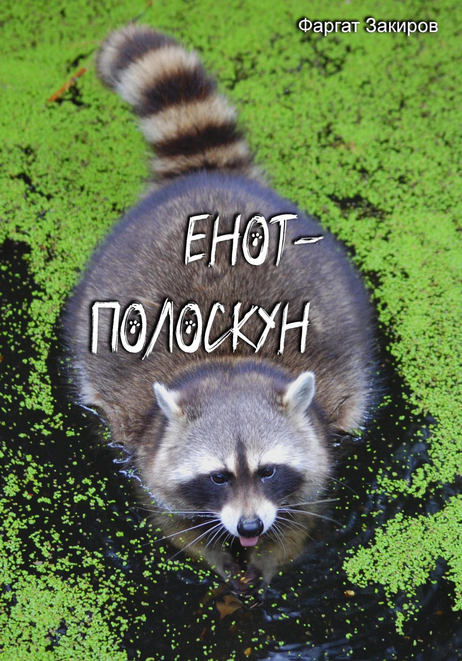 Енот-полоскун, Фаргат Закиров – скачать книгу fb2, epub, pdf на ЛитРес