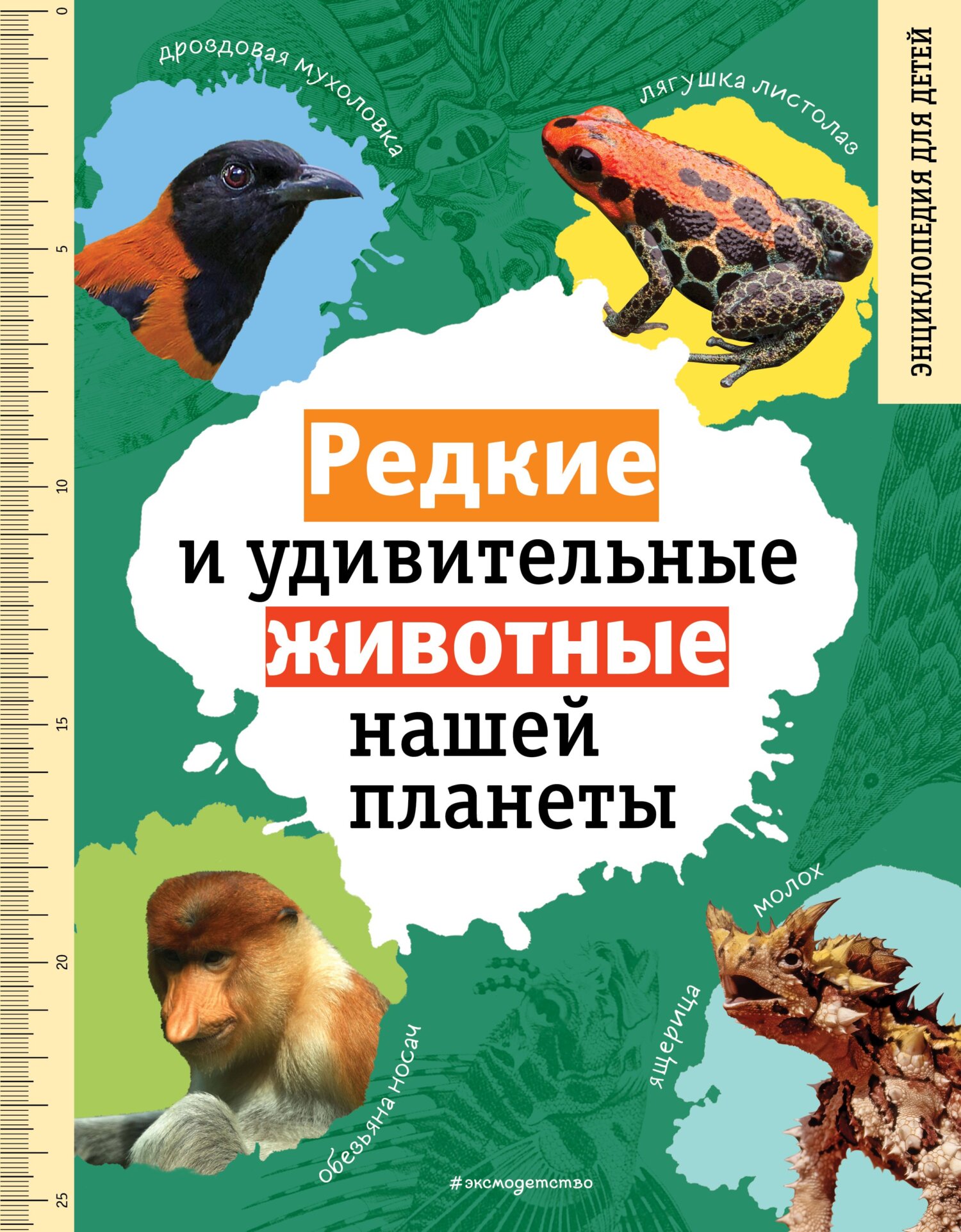 Редкие и удивительные животные нашей планеты. Энциклопедия для детей,  Василий Климов – скачать pdf на ЛитРес