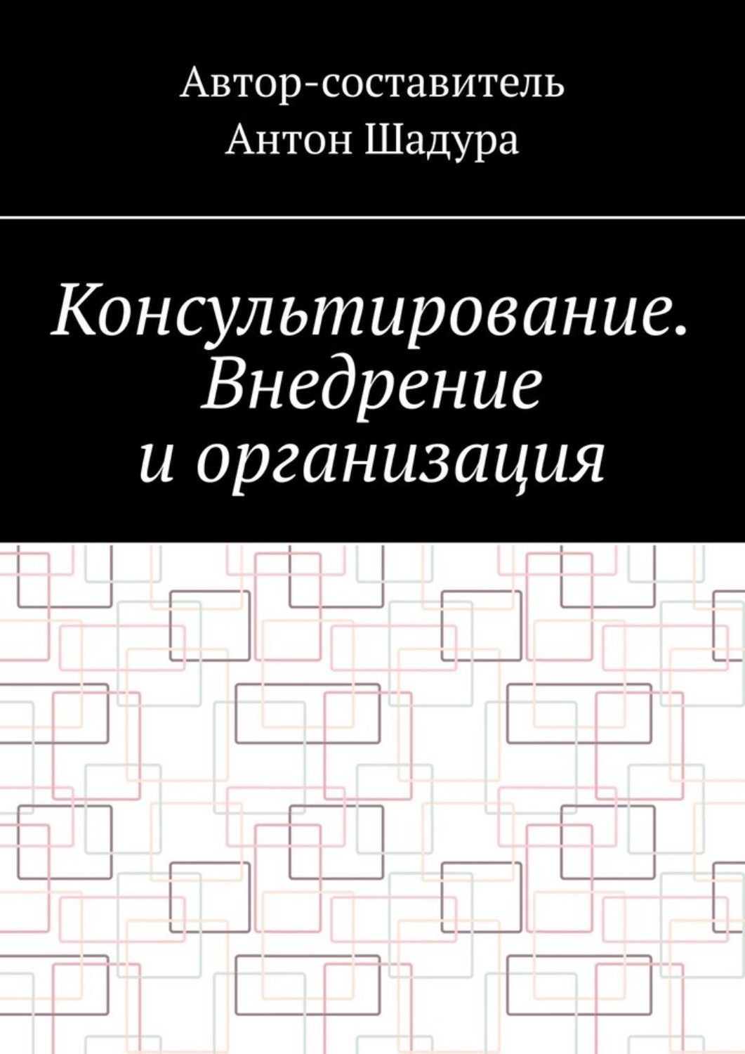 Внедрение консультационного проекта