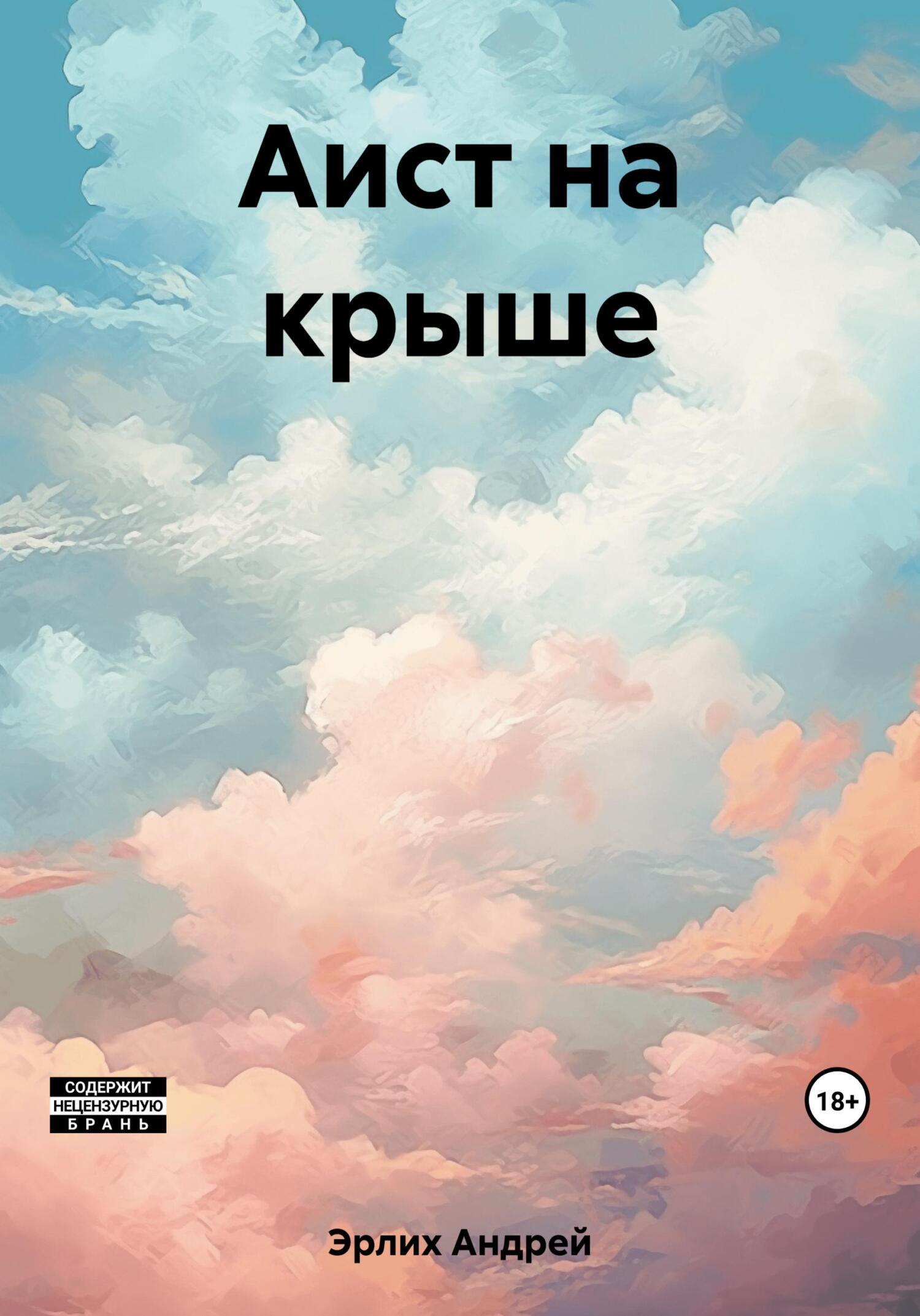 Читать онлайн «Аист на крыше», Андрей Эрлих – ЛитРес, страница 2