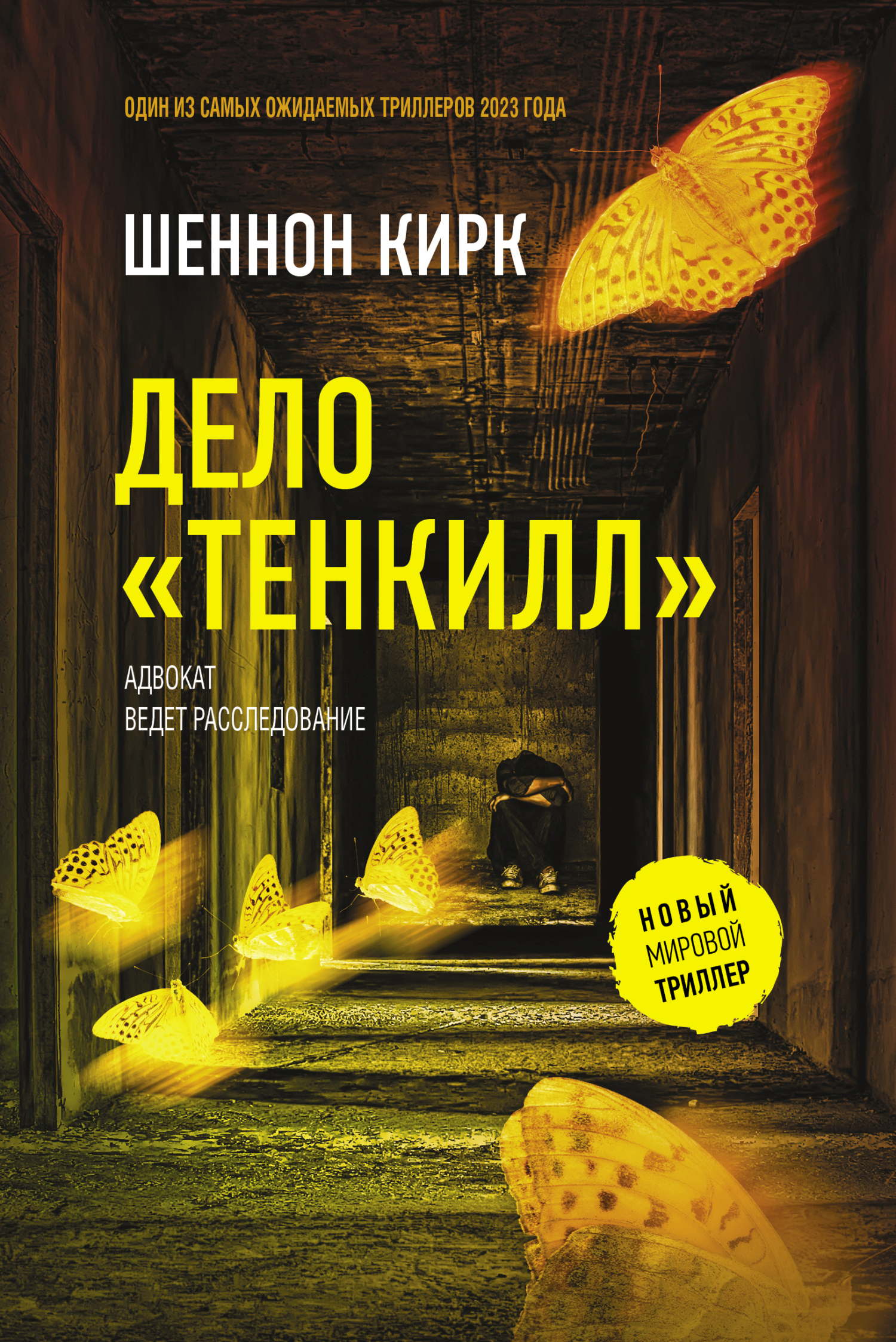 Читать онлайн «Дело «Тенкилл»», Шеннон Кирк – ЛитРес, страница 3