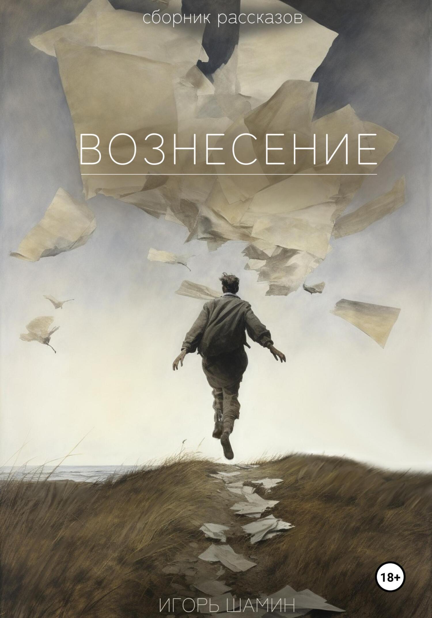 Читать онлайн «Вознесение», Игорь Алексеевич Шамин – ЛитРес, страница 2