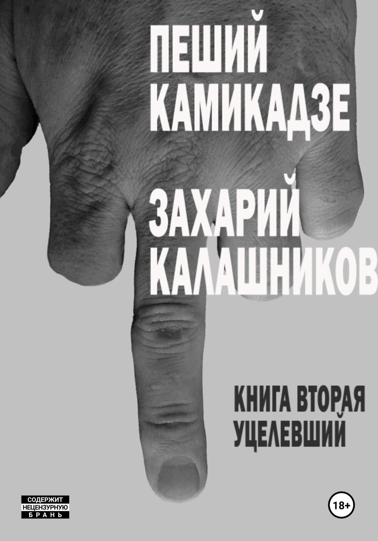 Читать онлайн «Пеший камикадзе. Книга первая», Захарий Калашников – ЛитРес,  страница 9