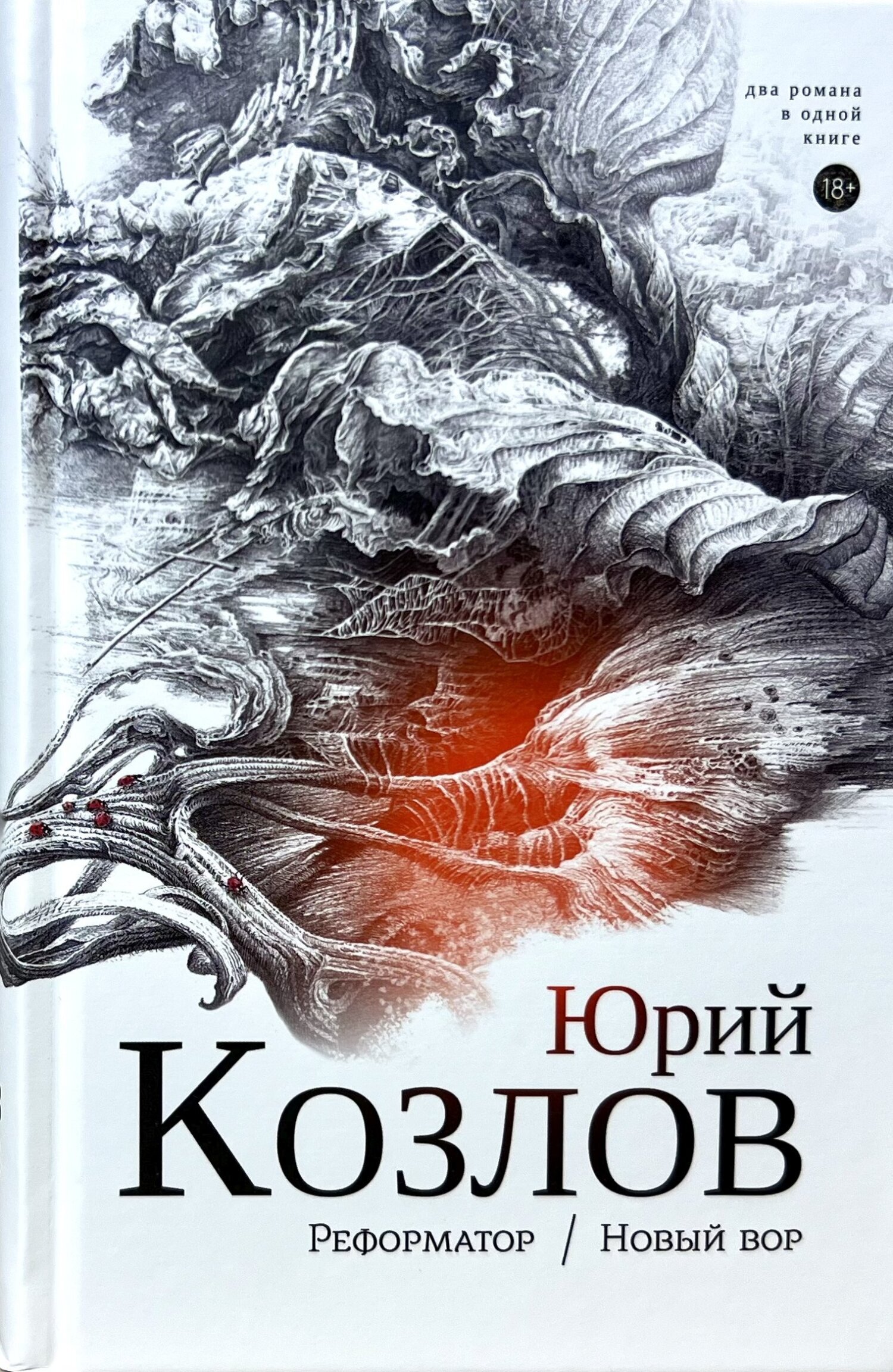 Читать онлайн «Реформатор. Новый вор. Том 2.», Юрий Козлов – ЛитРес