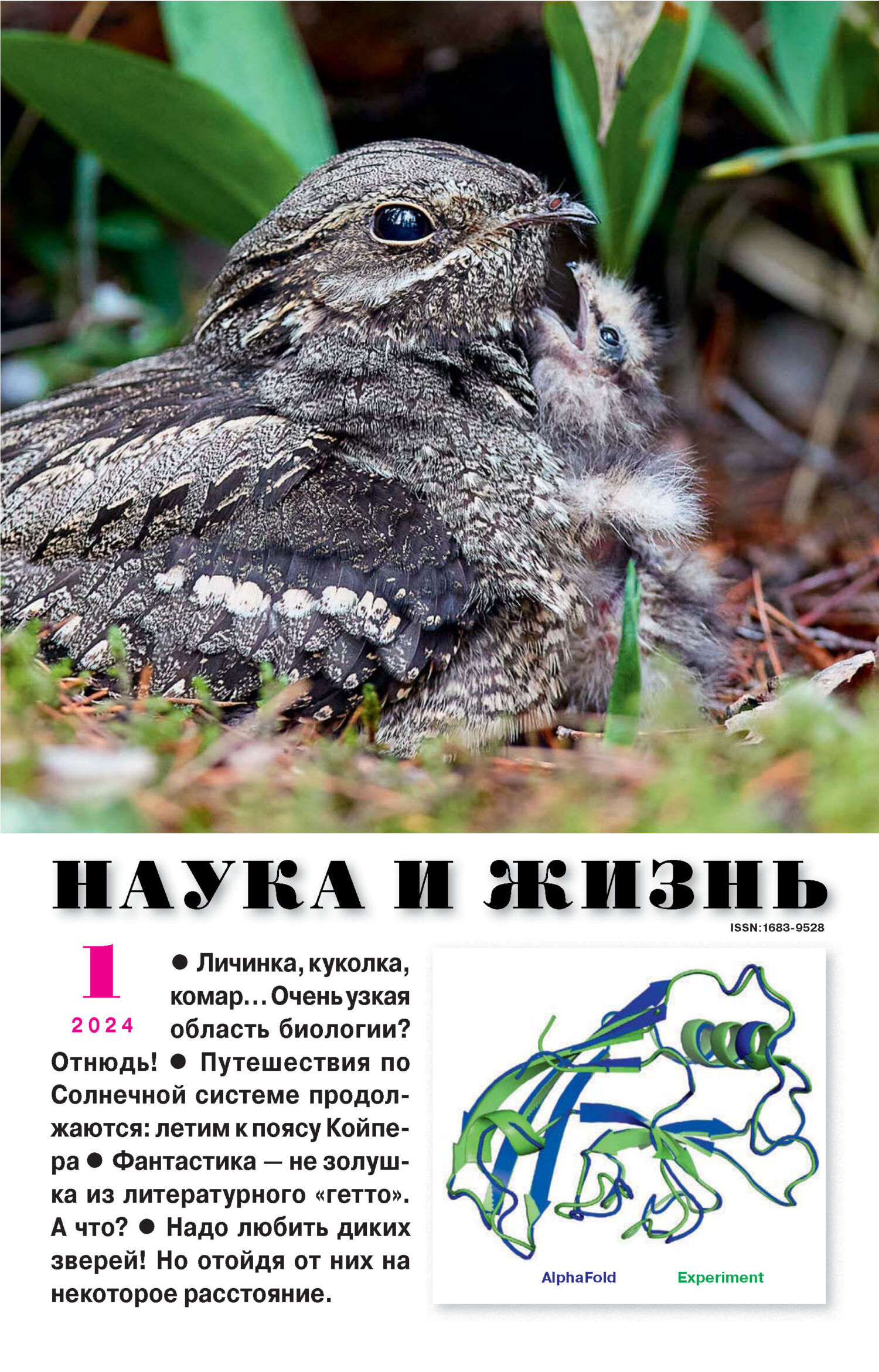 Наука и жизнь №01/2024 – скачать pdf на ЛитРес