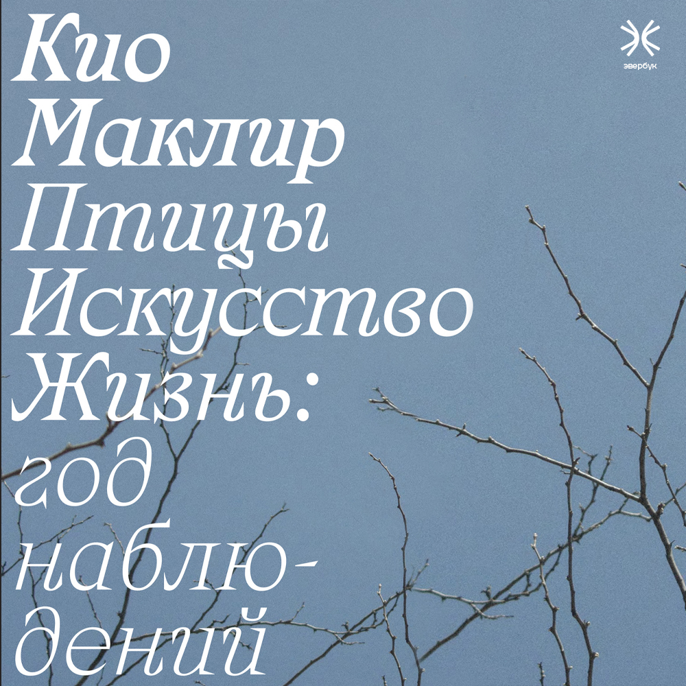 Птицы, искусство, жизнь: год наблюдений, Кио Маклир – слушать онлайн или  скачать mp3 на ЛитРес