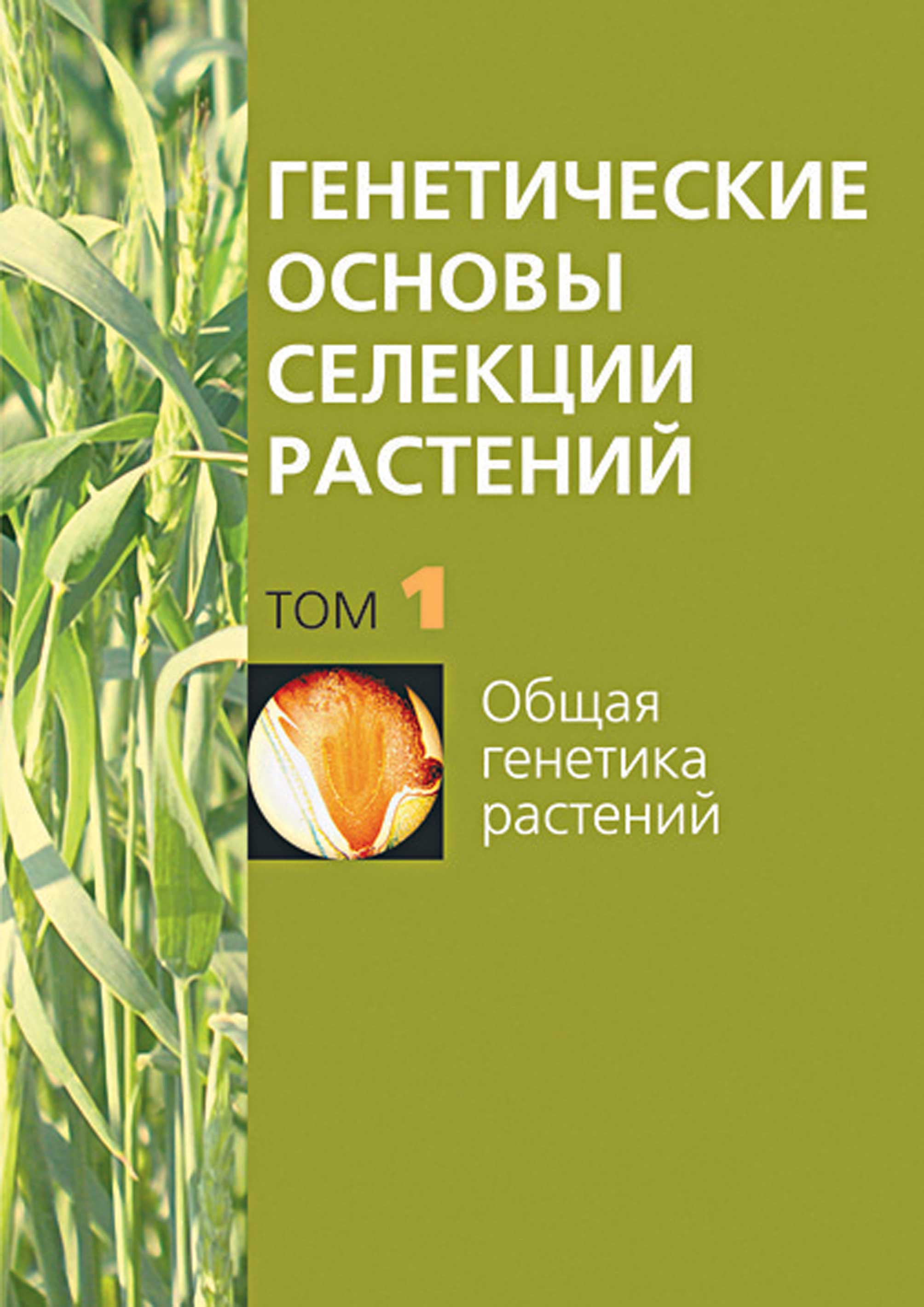 Биотехнология в селекции растений. Клеточная инженерия – скачать pdf на  ЛитРес