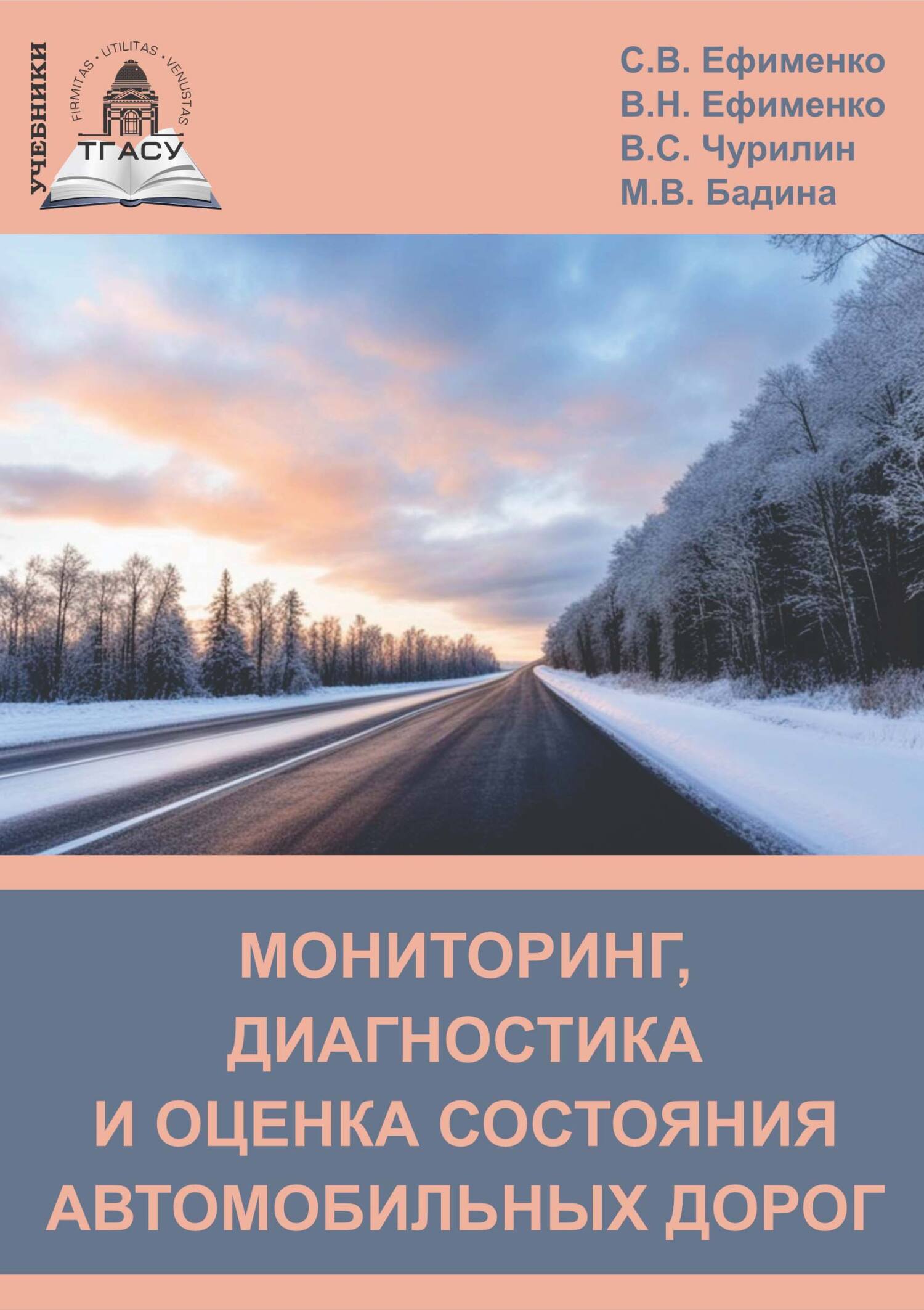 Мониторинг, диагностика и оценка состояния автомобильных дорог, В. Н.  Ефименко – скачать pdf на ЛитРес