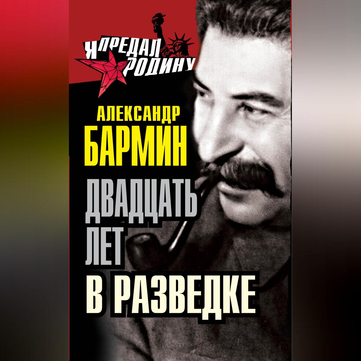 Читать онлайн «Двадцать лет в разведке», Александр Бармин – ЛитРес