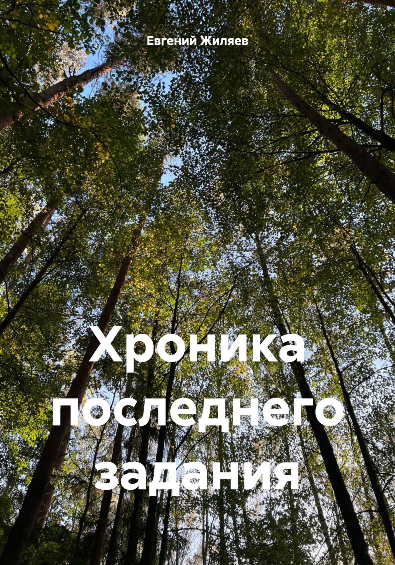 Читать онлайн «Хроника одного задания», Евгений Александрович Жиляев –  ЛитРес