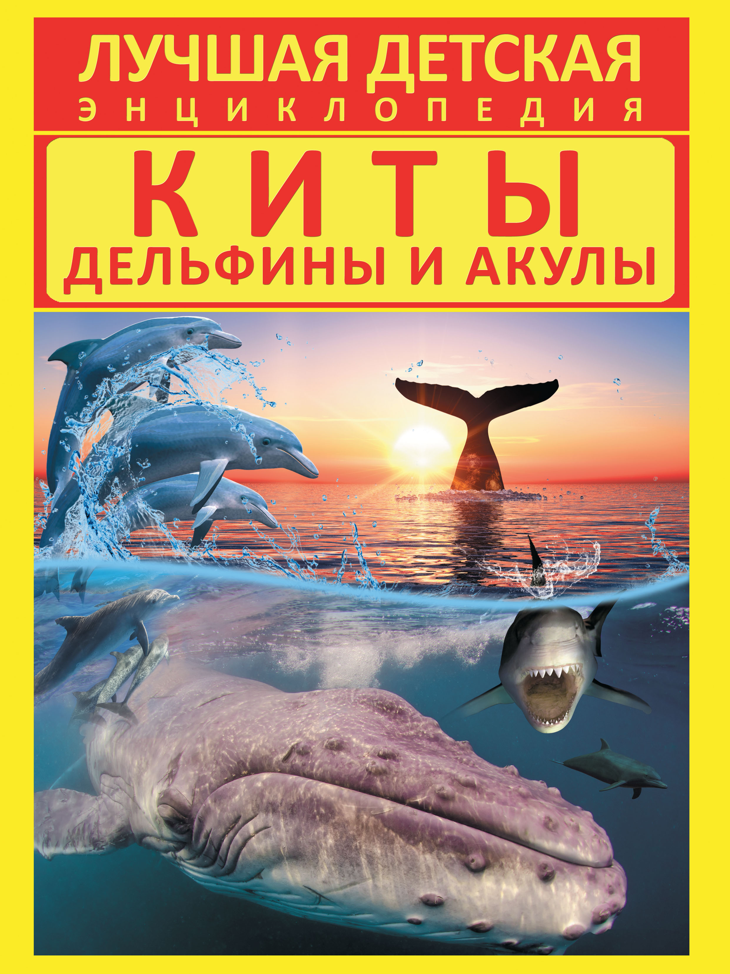 Киты, дельфины и акулы, Д. В. Кошевар – скачать pdf на ЛитРес