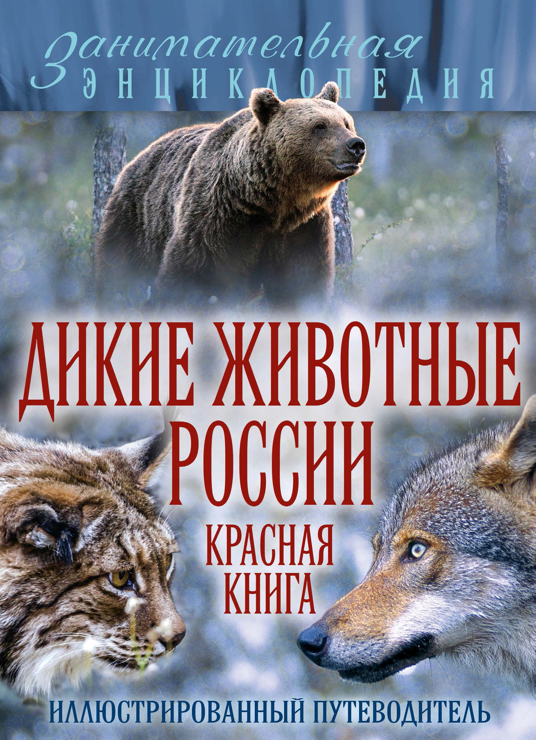 Дикие животные России. Красная книга. Иллюстрированный путеводитель, А. Д.  Очеретний – скачать pdf на ЛитРес